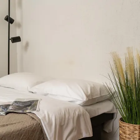 Air 212 Apartment Wilna