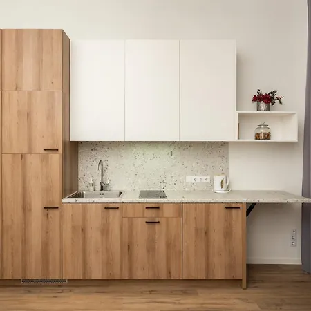 Air 212 Apartment *